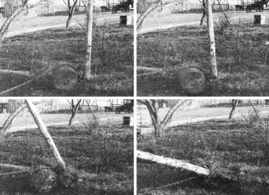 The process of removing fence posts occurred in four stages.